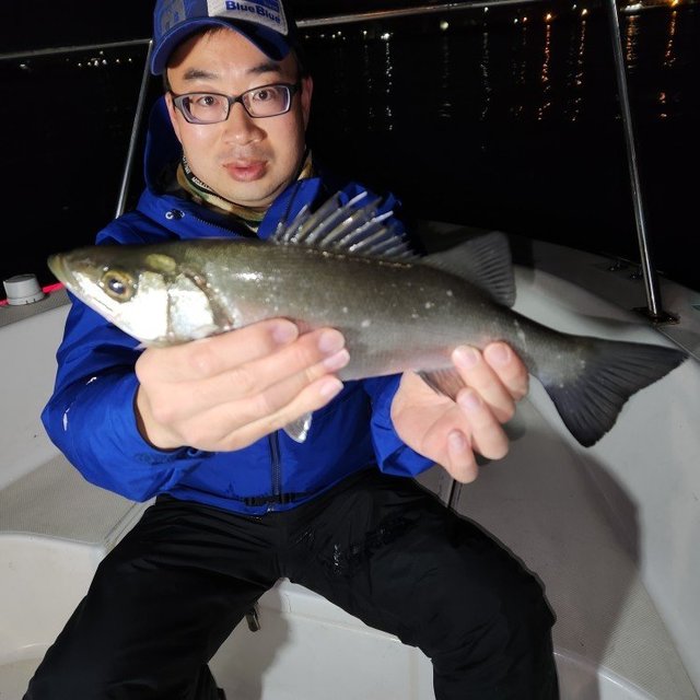 シーバス(スズキ)