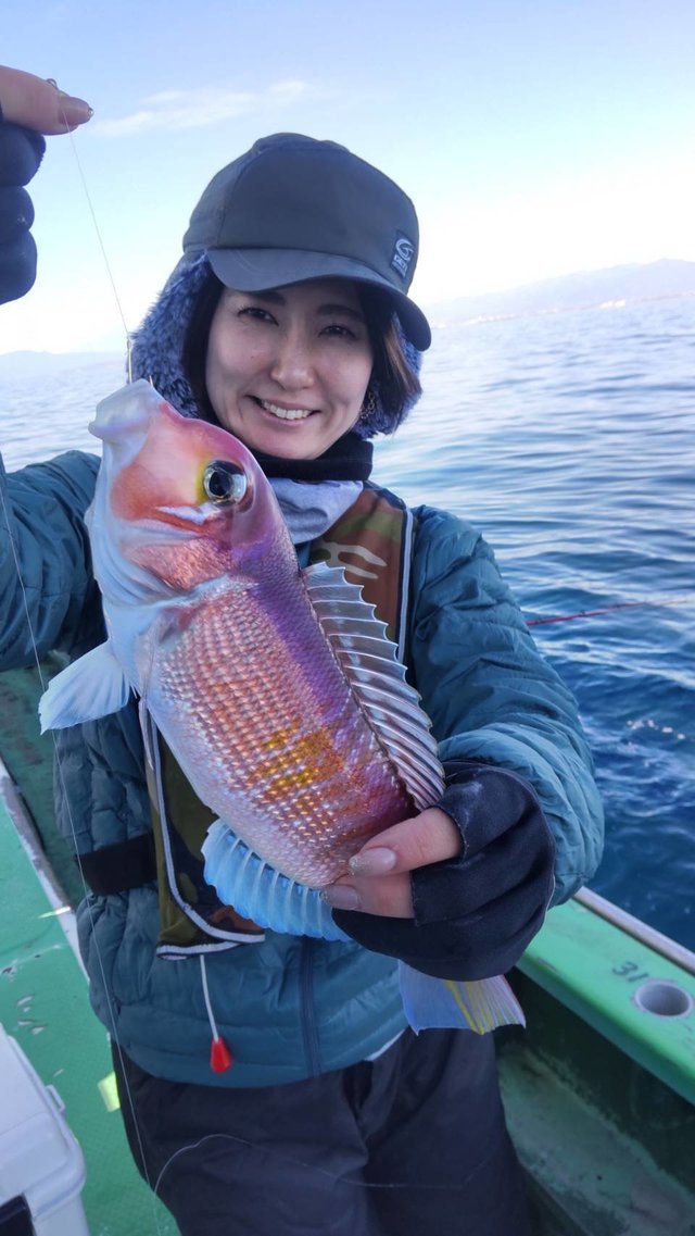 アマダイ(アカアマダイ)