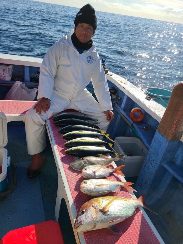 マダイ・イナダ(ブリ)