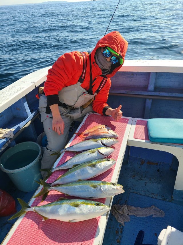 マダイ・イナダ(ブリ)