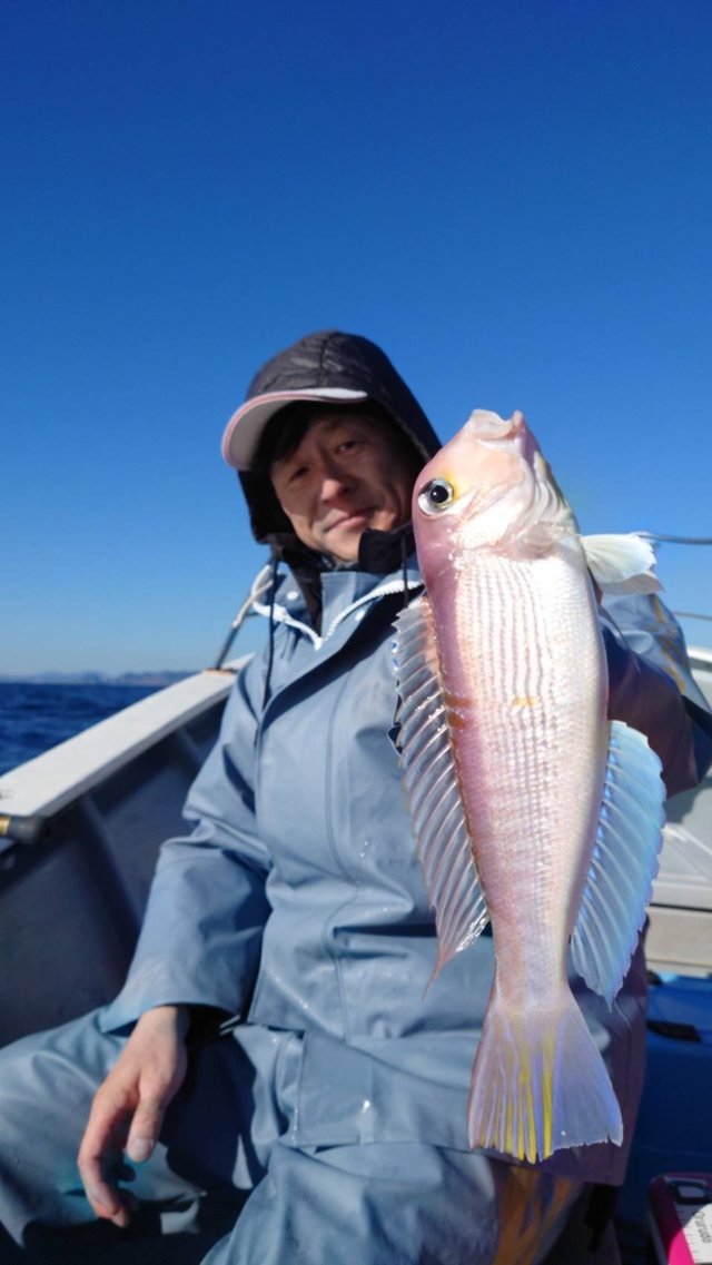 アマダイ(アカアマダイ)