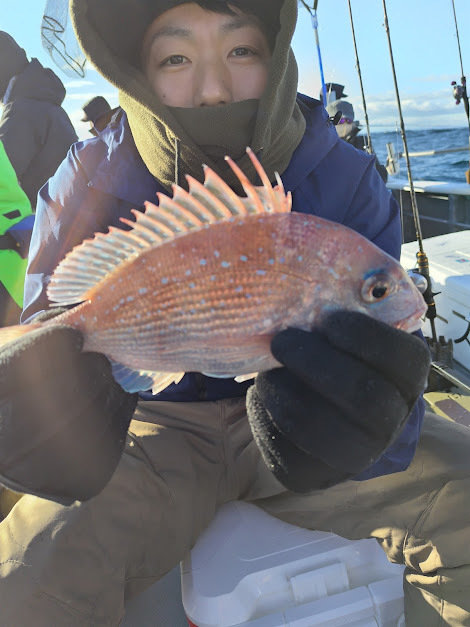 チャリコ(マダイ)