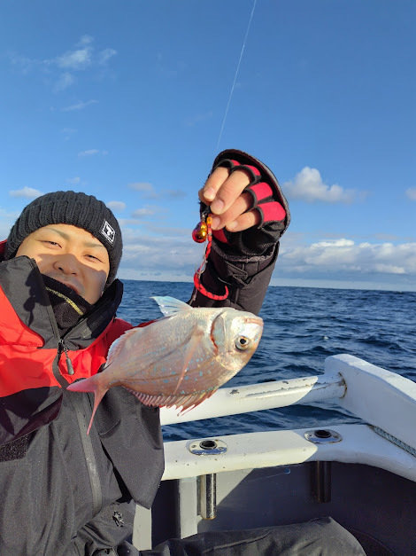 チャリコ(マダイ)