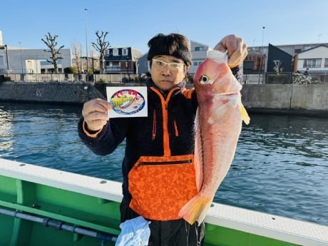 アマダイ(アカアマダイ)