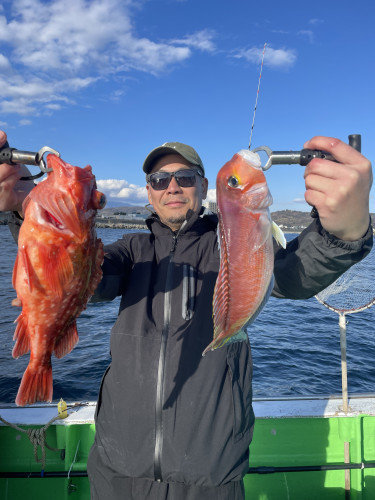 アマダイ(アカアマダイ)・カンコ(ウッカリカサゴ)