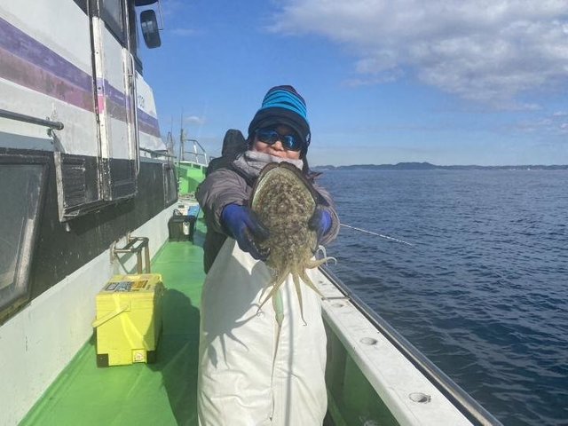 モンゴウ(カミナリイカ)