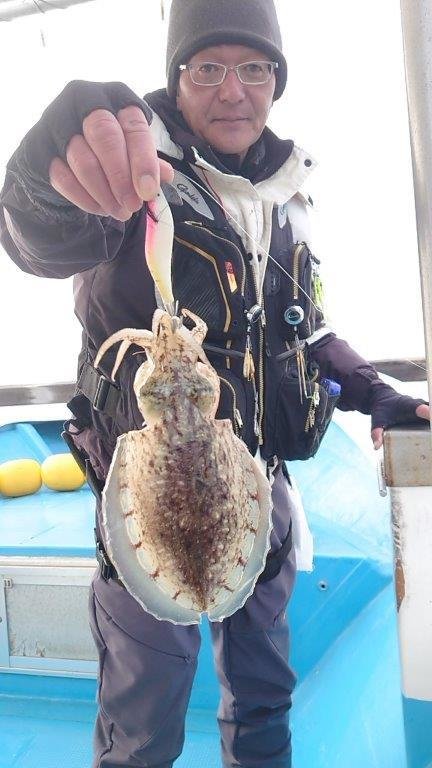 イカ(コウイカ)