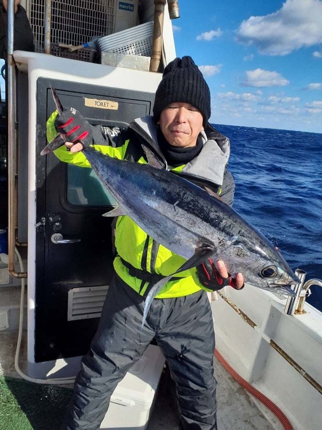 トンボ(ビンナガ)