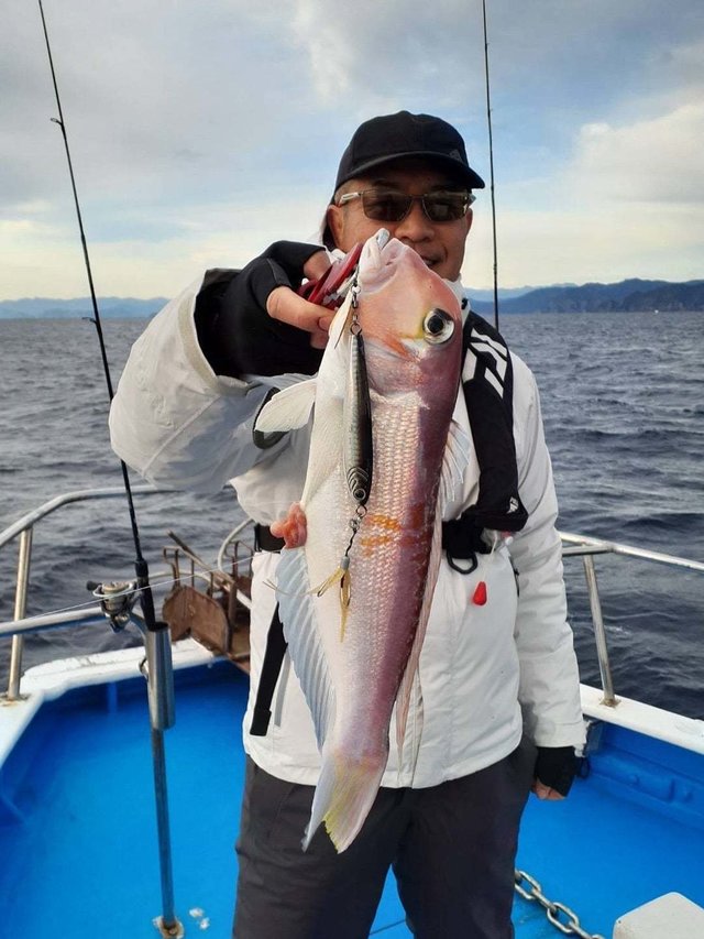 アマダイ(アカアマダイ)