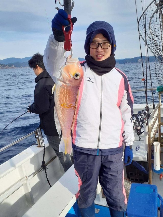 アマダイ(アカアマダイ)