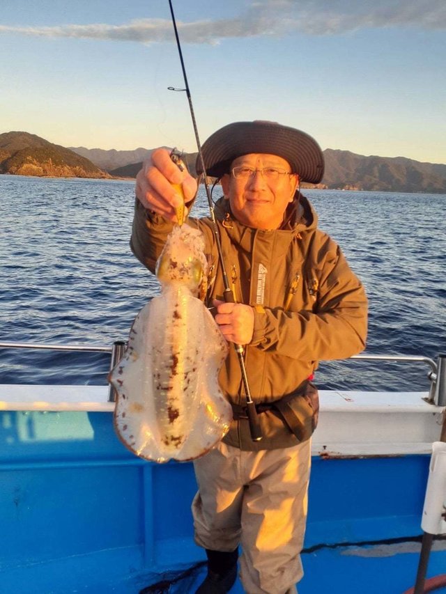 イカ(アオリイカ)