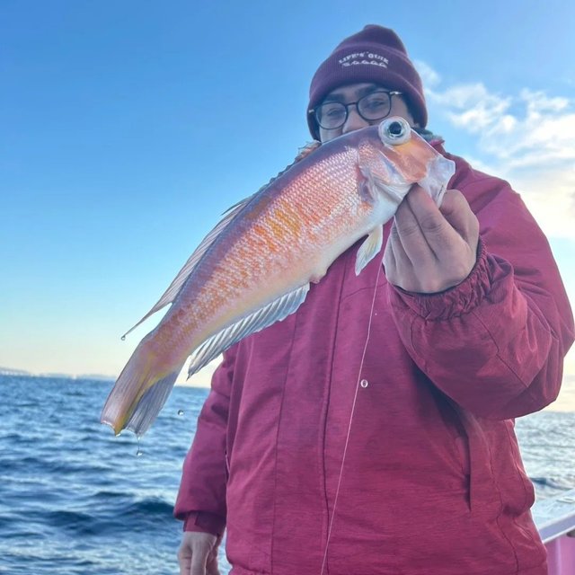 アマダイ(アカアマダイ)