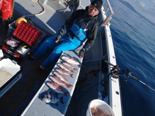 マダイ・イシダイ