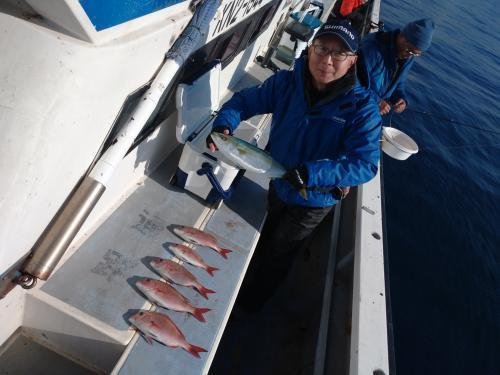 マダイ・イナダ(ブリ)