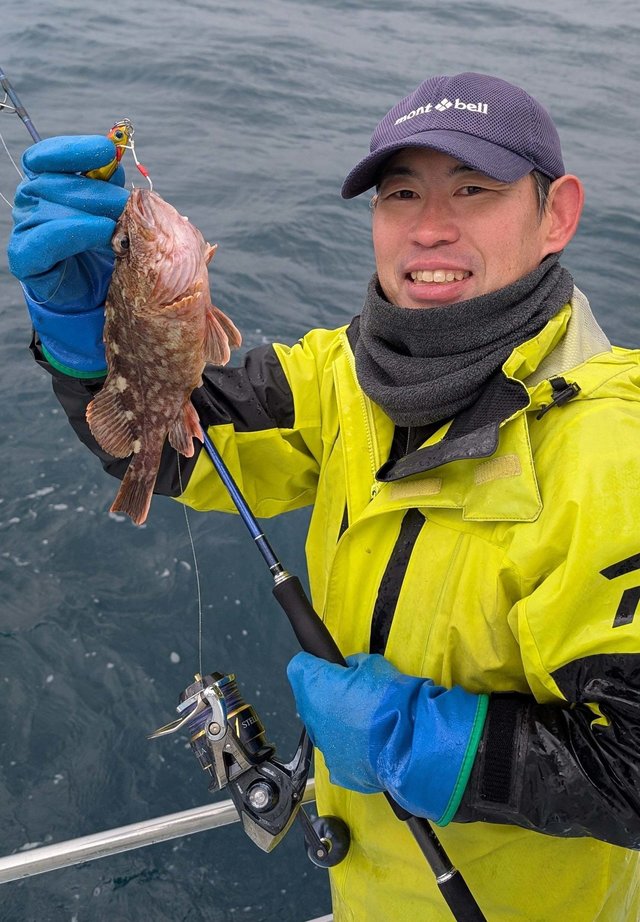 ウッカリカサゴ