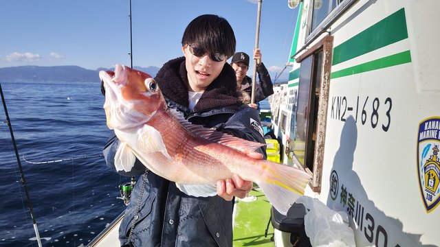 アマダイ(アカアマダイ)