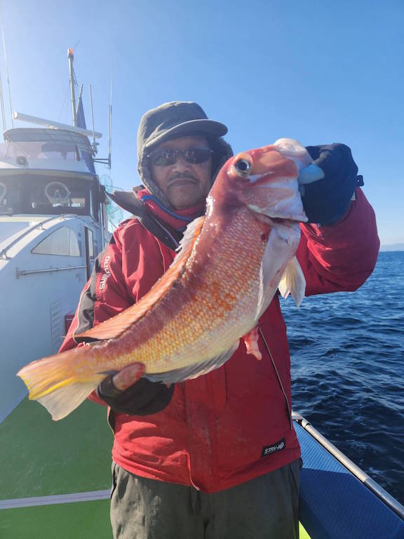 アマダイ(アカアマダイ)