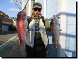 アマダイ(アカアマダイ)