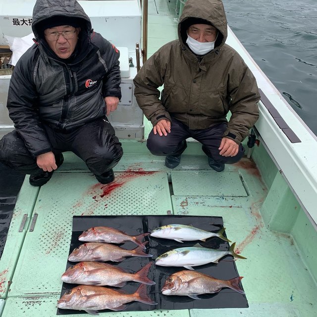 マダイ・ハマチ(ブリ)