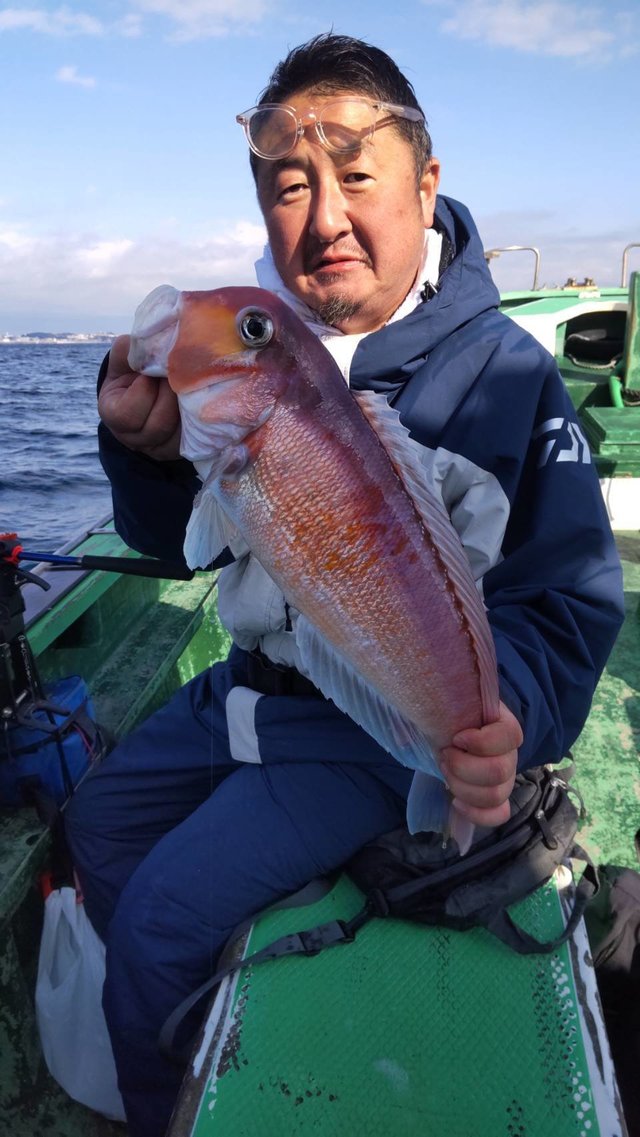 アマダイ(アカアマダイ)