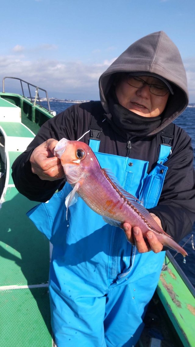 アマダイ(アカアマダイ)