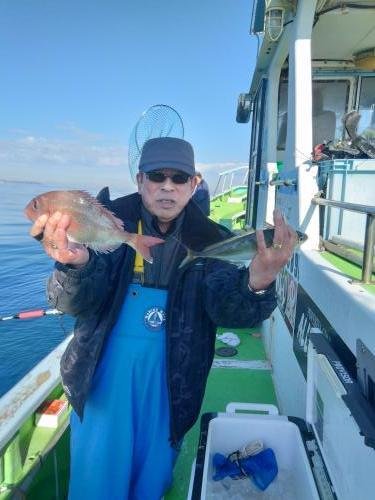 マダイ・アジ(マアジ)