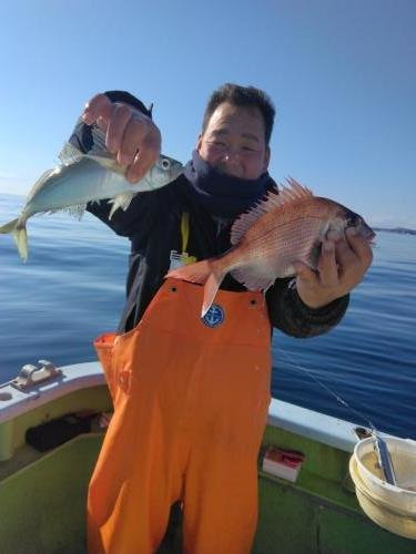 マダイ・アジ(マアジ)