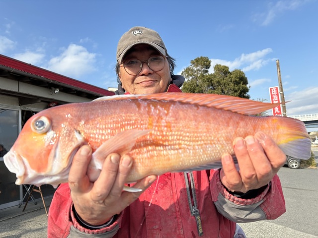 アマダイ(アカアマダイ)