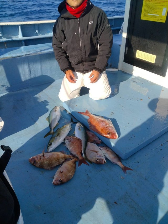 マダイ・イナダ(ブリ)