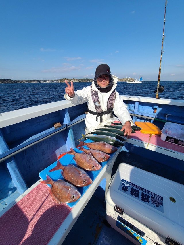 マダイ・イナダ(ブリ)