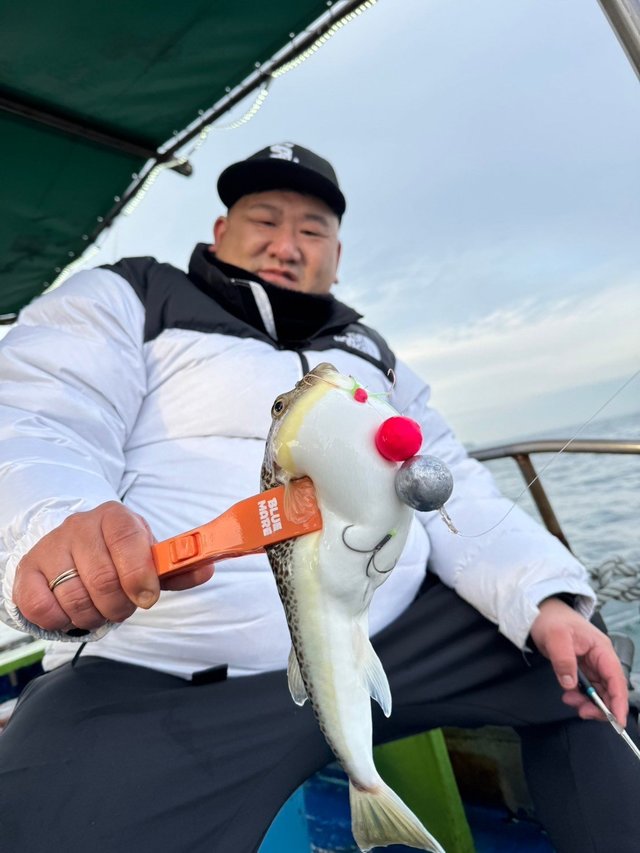 フグ(ショウサイフグ)