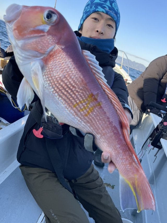 アマダイ(アカアマダイ)