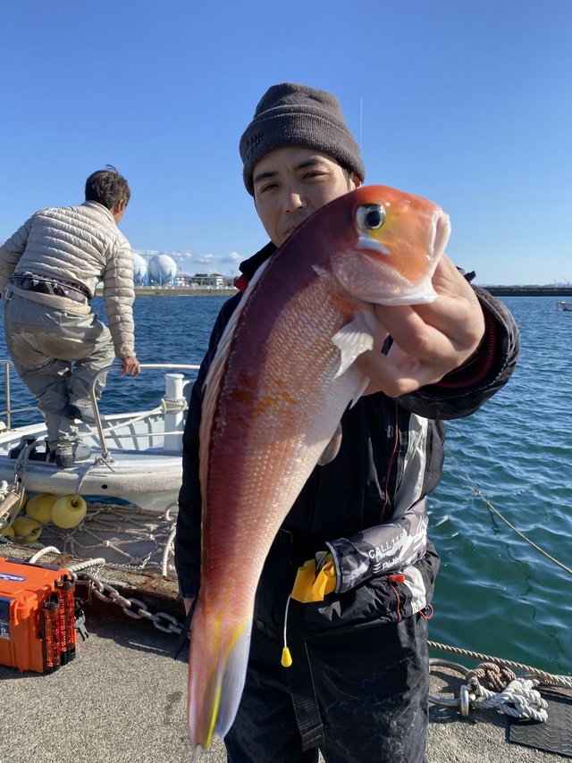 アマダイ(アカアマダイ)