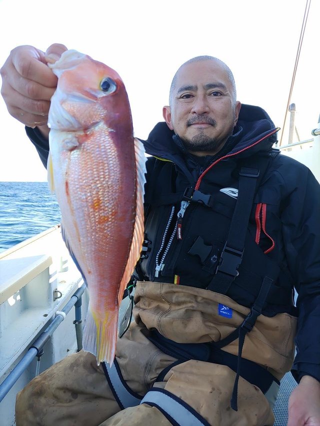 アマダイ(アカアマダイ)