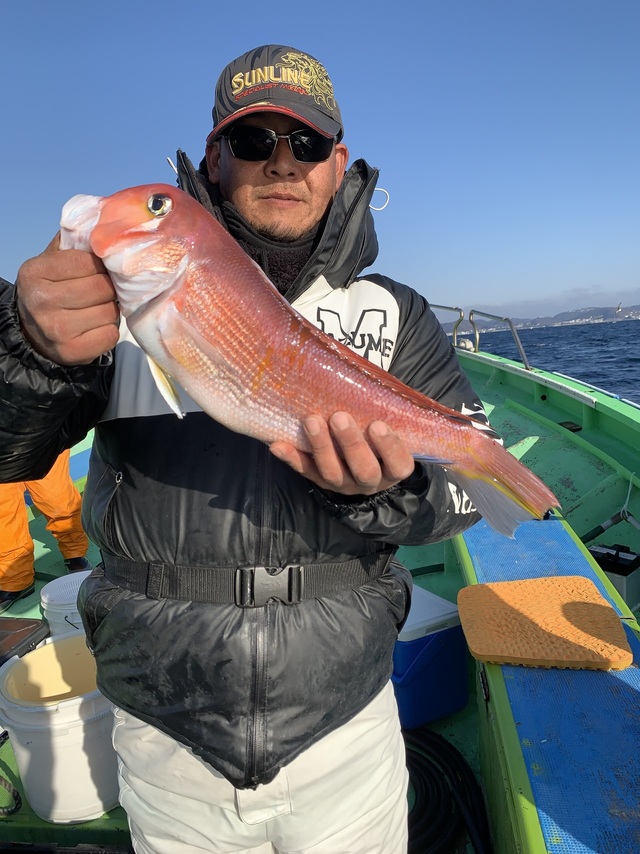 アマダイ(アカアマダイ)