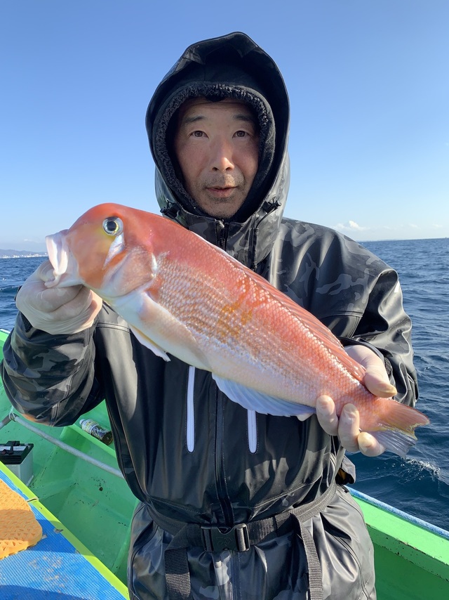 アマダイ(アカアマダイ)