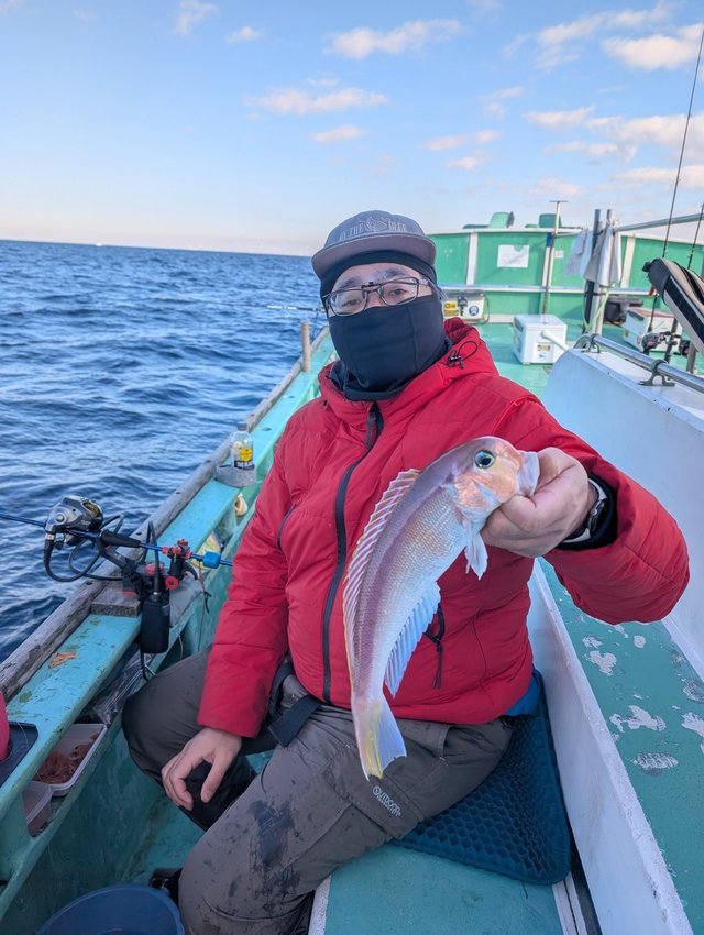 アマダイ(アカアマダイ)