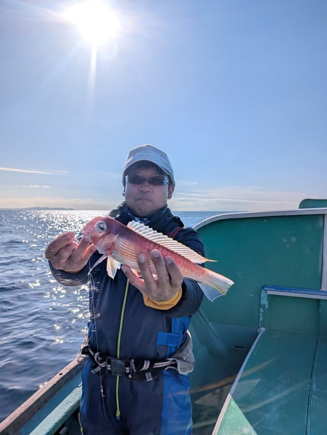 アマダイ(アカアマダイ)