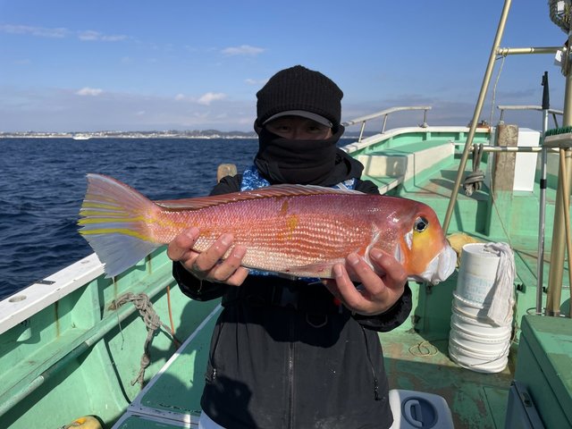 アマダイ(アカアマダイ)