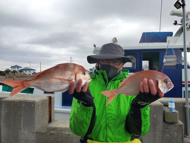 ハナダイ(チダイ)