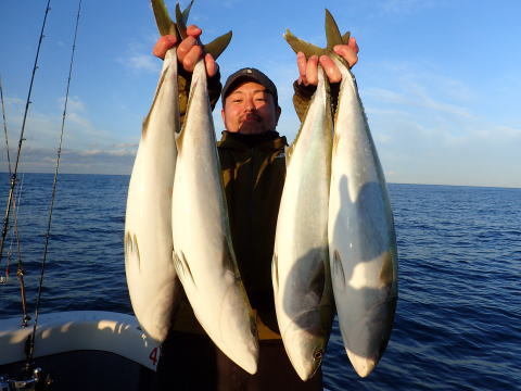 メジロ(ブリ)・ヒラマサ