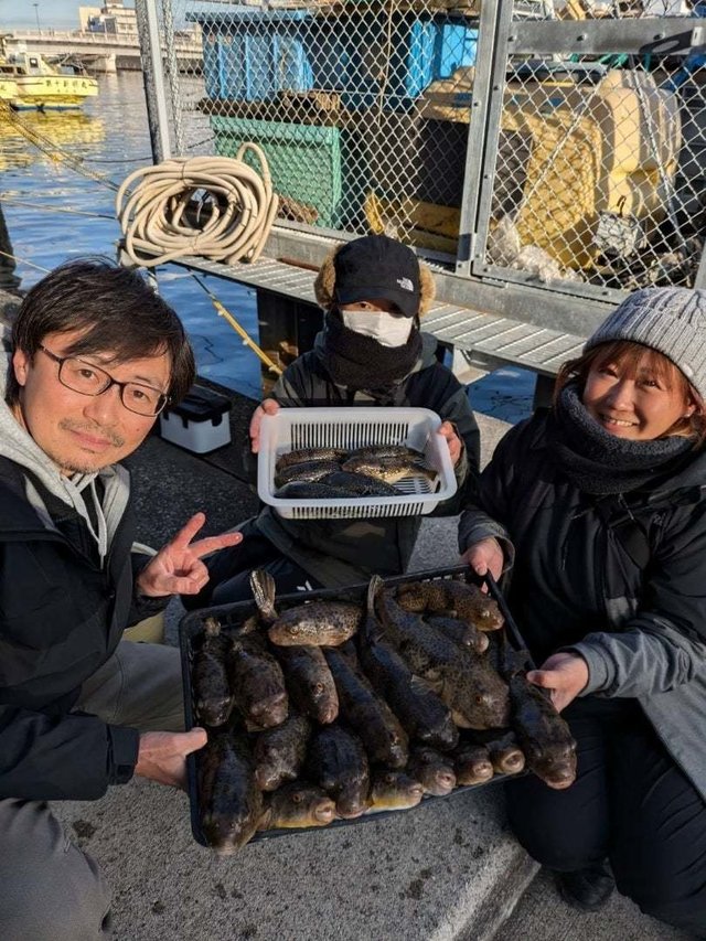 アカメフグ・ショウサイフグ