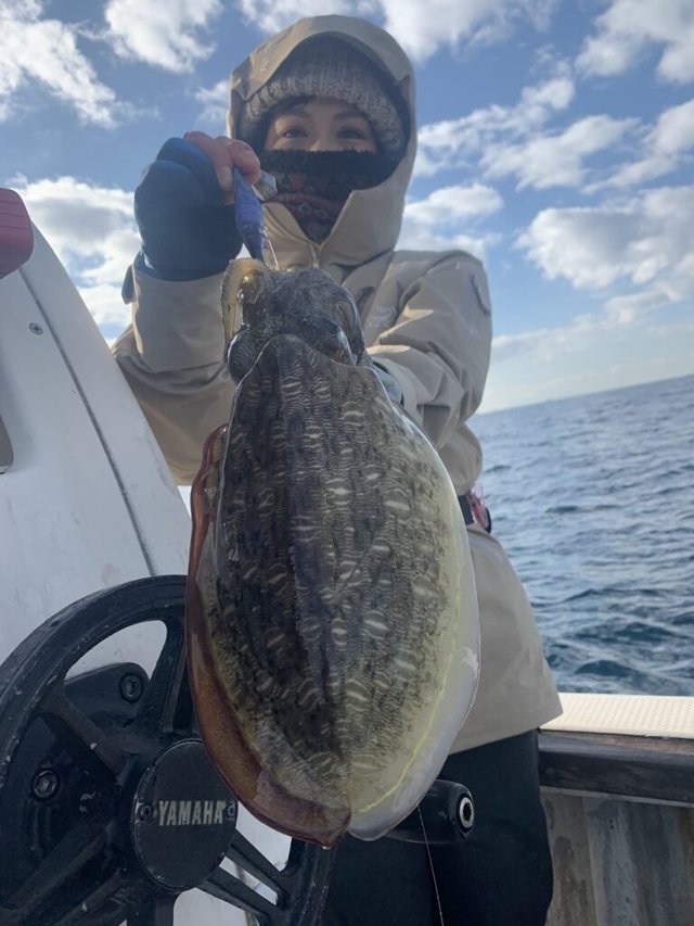 モンゴウ(カミナリイカ)