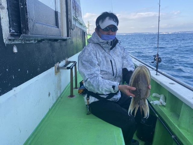 モンゴウ(カミナリイカ)