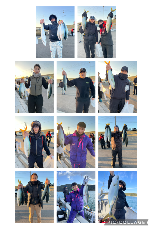 ハマチ(ブリ)・メジロ(ブリ)