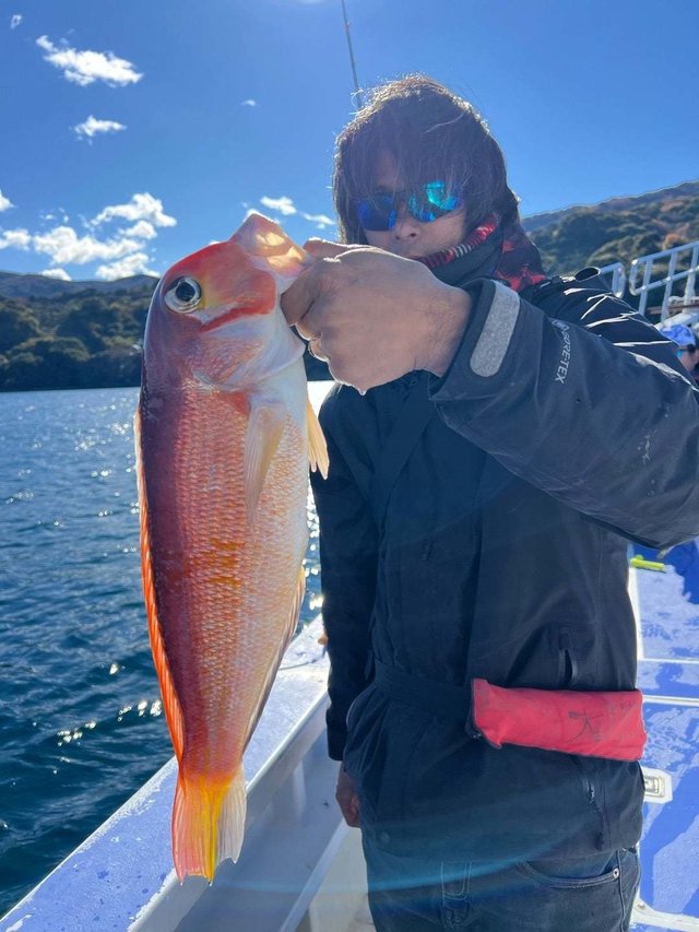 アマダイ(アカアマダイ)