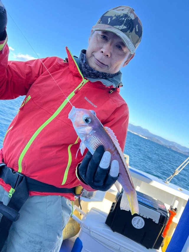 アマダイ(アカアマダイ)