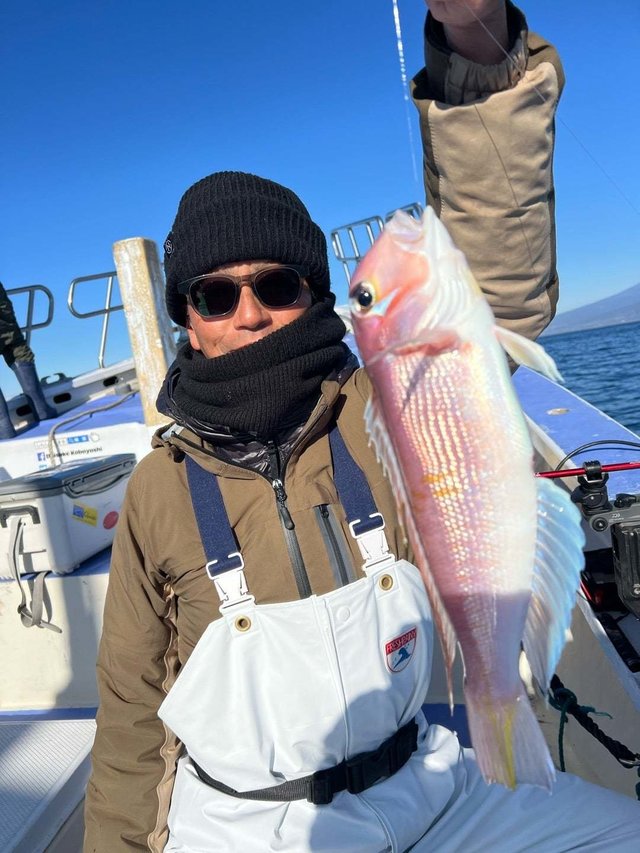 アマダイ(アカアマダイ)