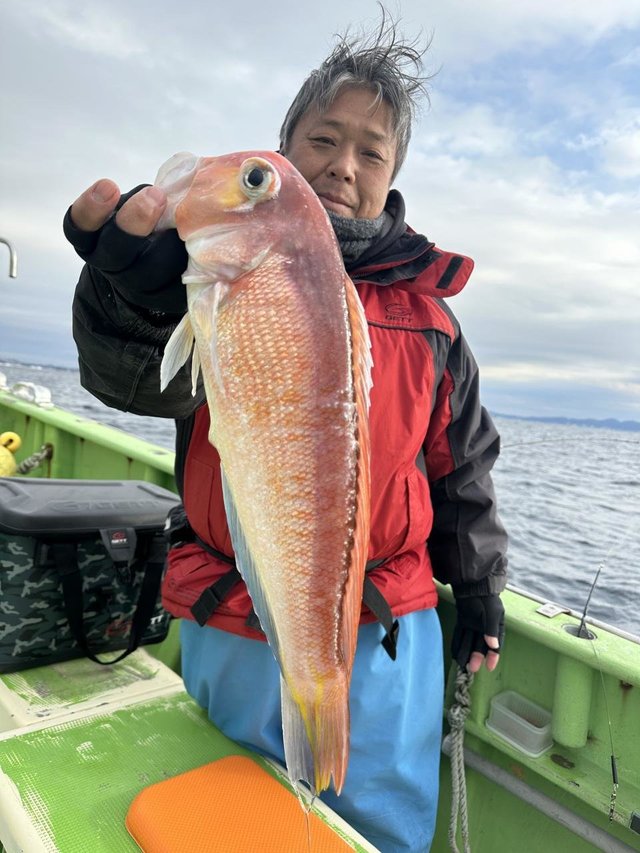 アマダイ(アカアマダイ)