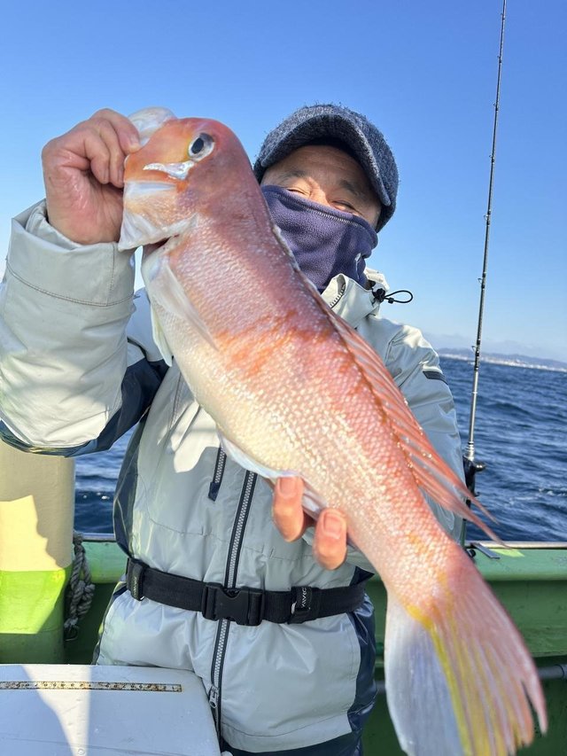 アマダイ(アカアマダイ)